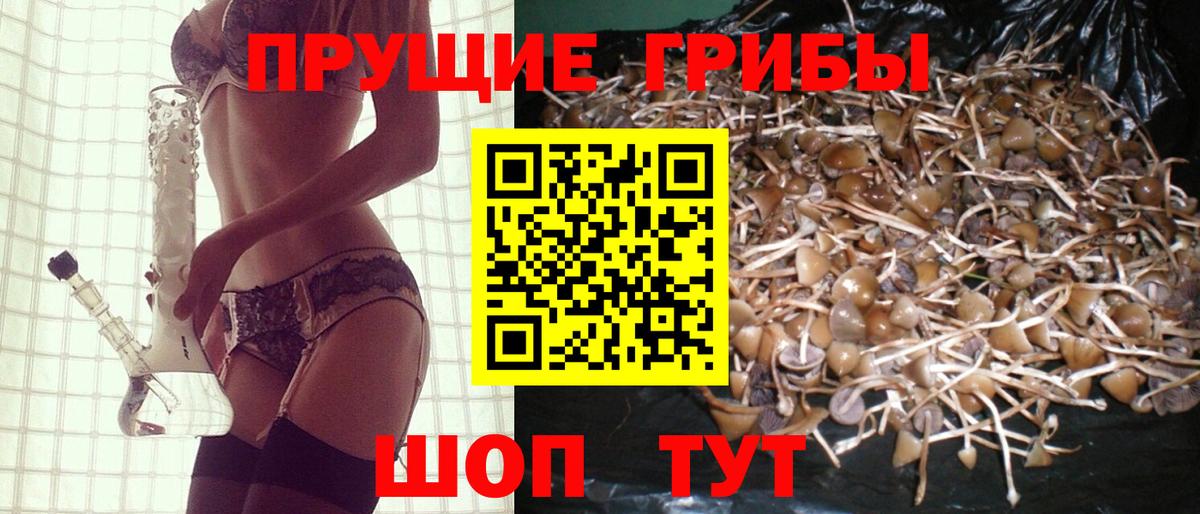 Псилоцибиновые грибы Cubensis  Вход с VPN  Лабинск 
